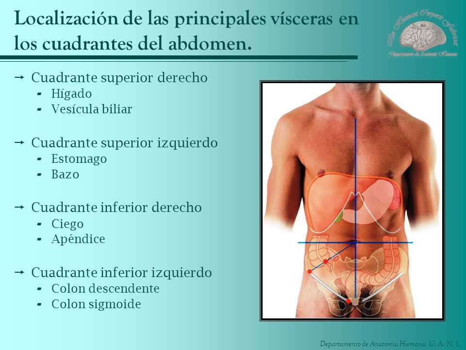 Silla de oficina que no estaba enfermo la espalda